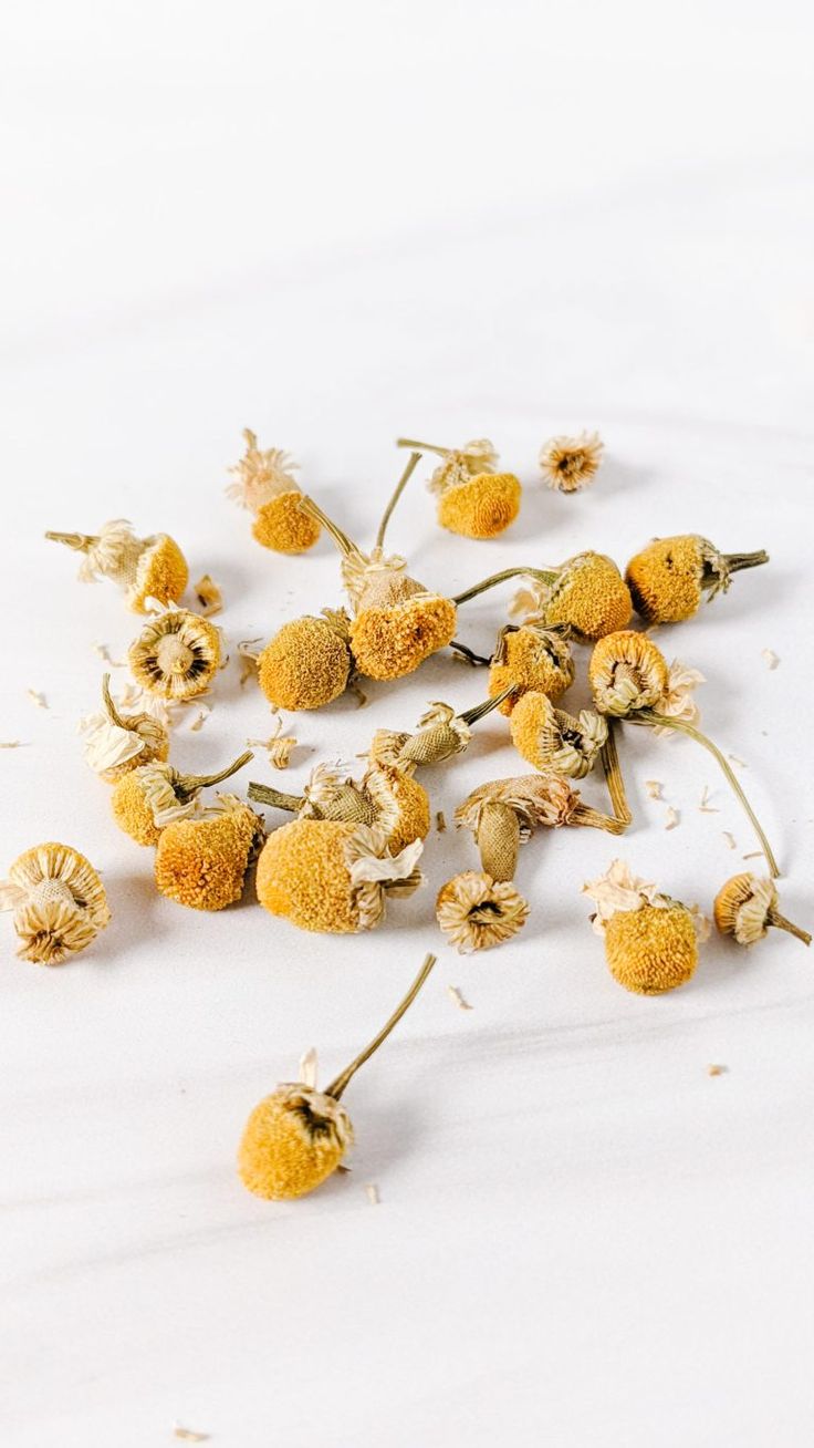 Chamomile flowers used as a natural soothing ingredient in baby skincare.